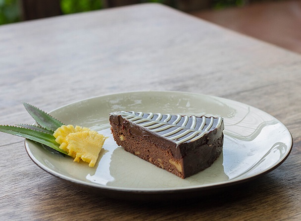 food-dish